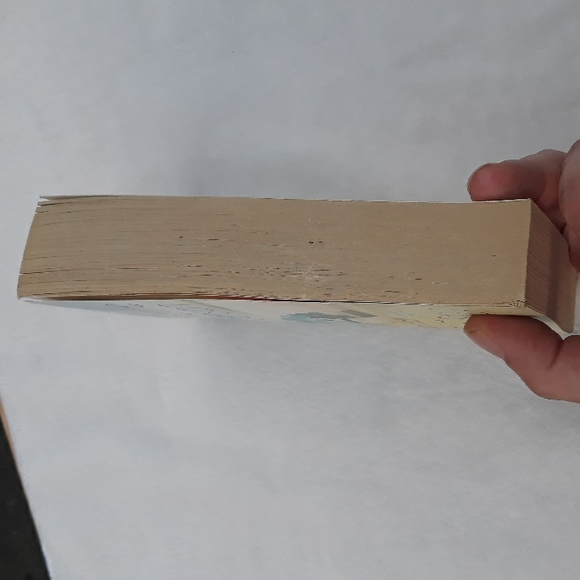 Here To Stay, a paperback book written by Catherine Anderson 2011 - Picture 5 of 7